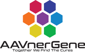 AAVnerGene